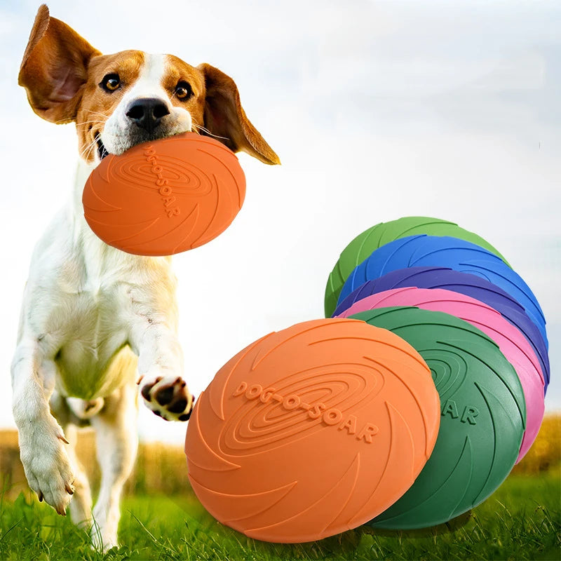 Frisbee